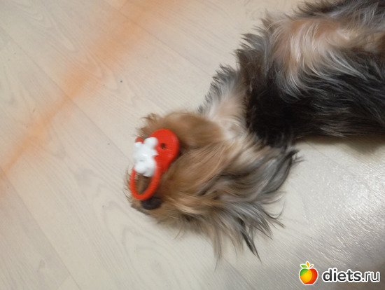 Моя сосочка., альбом: Юки