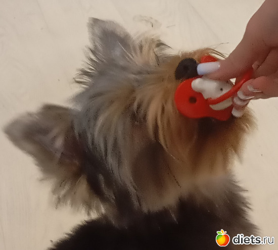 Отдай соску, альбом: Юки