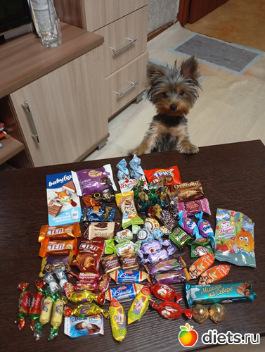 ��� �� ���., ������: ���