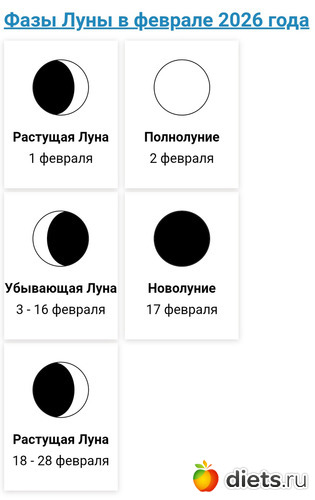 2 ����: 2026