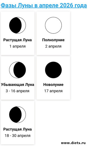 4 ����: 2026