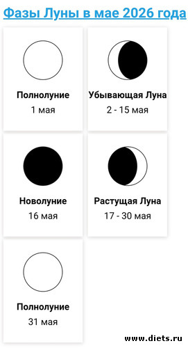 5 ����: 2026