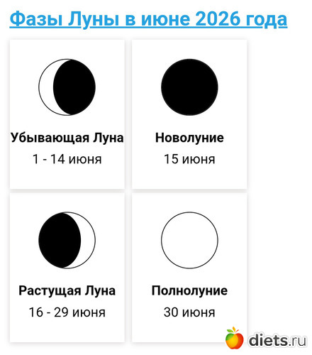 6 ����: 2026