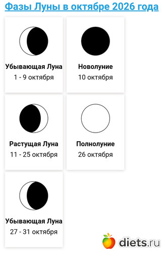 10 ����: 2026