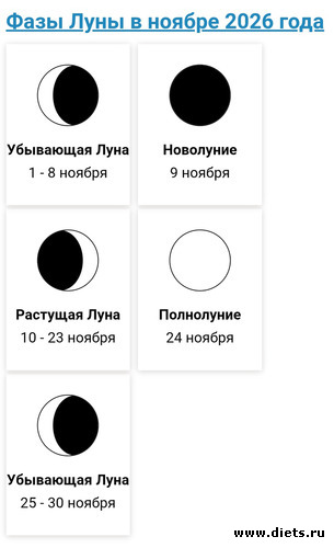 11 ����: 2026