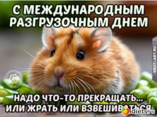 1 ����: ����