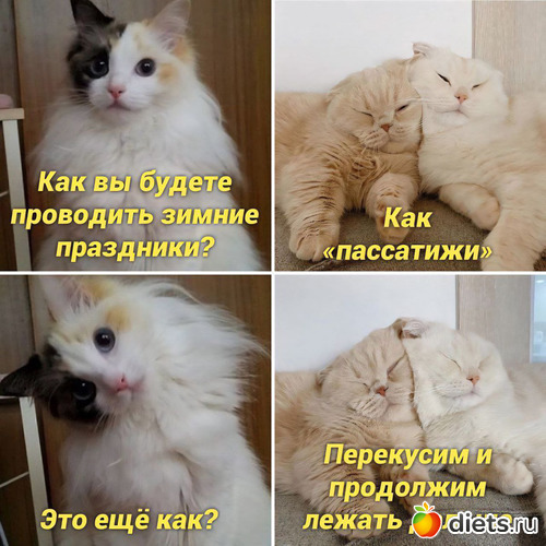 3 ����: ����