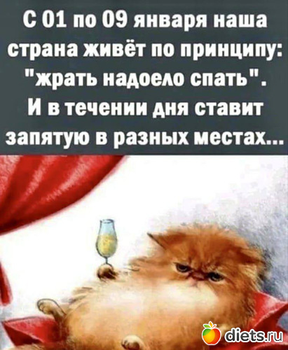 14 ����: ����