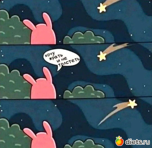 15 ����: ����