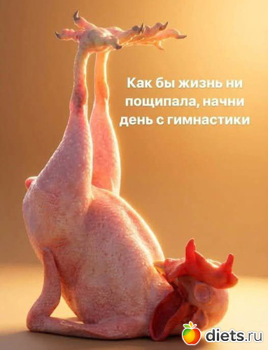 16 ����: ����