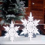 � ������ �� ��������!