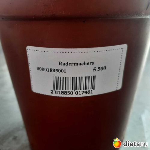 98 фото: Оранжерея 2021-26