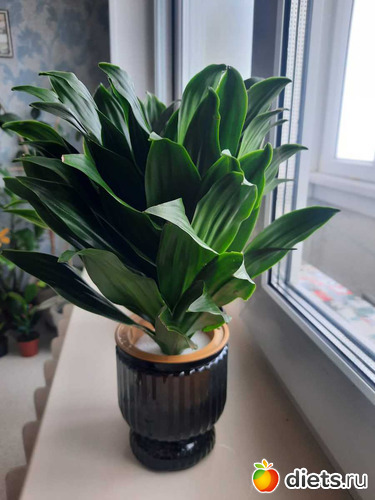 ��������!, ������: ��������� 2021-26