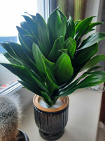 ���� ��� �����/ ����� ����������� �� ����� ���������� ��� ���� � ���������