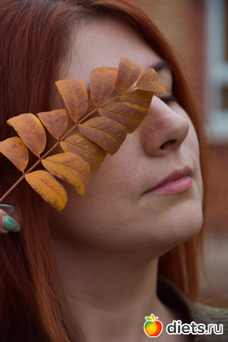 11 ����: � ��������