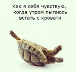 С понедельником, друзья!