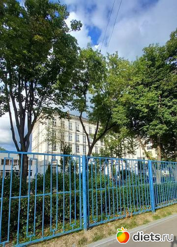 школа моего сына ( бывш 91), альбом: МОЯ УЛИЦА