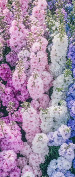 8-9 ����. ����� �����������