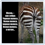 жизнь иногда поворачивается задом