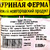 ГРУдКА С КОЖЕЙ цыплёнка-бройлара,