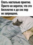 ������ �������