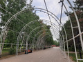 арки