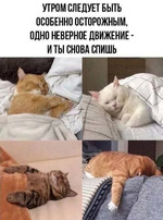 ��� � ����