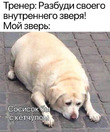 � �������������!