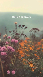 �������� �����, ���� 7 � 8) ��������� ����������� ���..