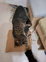 ����� - ����� ����������)) 15-16.03.2026