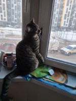 ����� - ����� ����������)) 18-20.03.2026