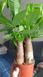 ������ � ����� "������"/��������� ��� ��������� ������/ ������� ����������/������� ����-������/����� �����/ "����� ������" � "����������� ����"/����� ������ ��������