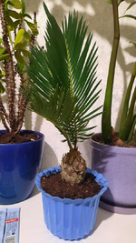 ����������� ����� �� ���������� ������ (������ � ��)