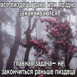 ����� �����������