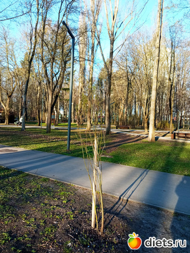 3 фото: Быханов сад
