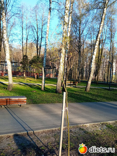 4 фото: Быханов сад