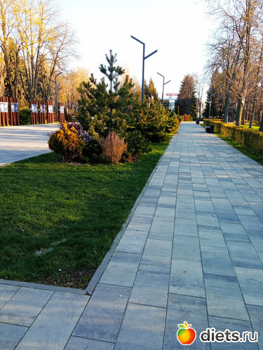 7 фото: Быханов сад