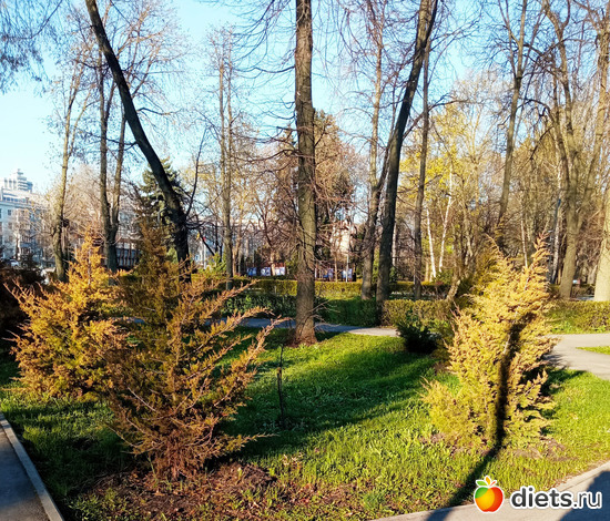 8 фото: Быханов сад