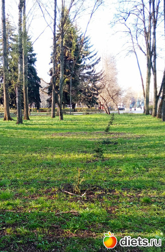11 фото: Быханов сад