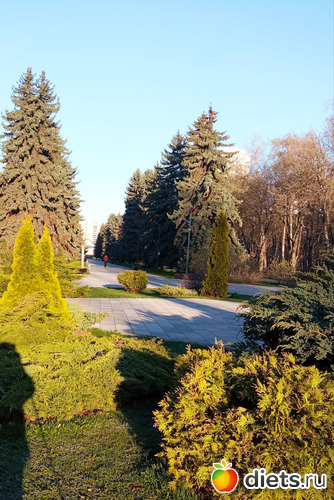 16 фото: Быханов сад