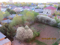 во дворах и садах тоже всё цвтетёт