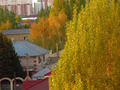 я делаю открытки