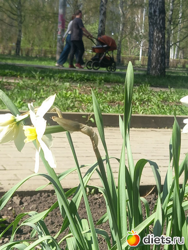 7 ����: ������� ���������
