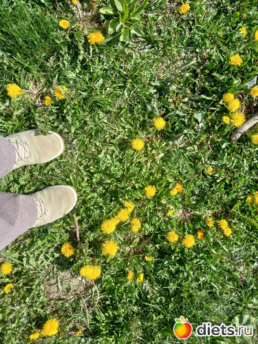 10 ����: ������� ���������