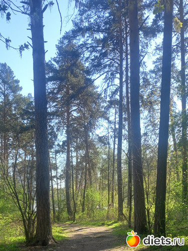 22 ����: ������� ���������