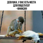 ���� ������-�� ��������� ����������