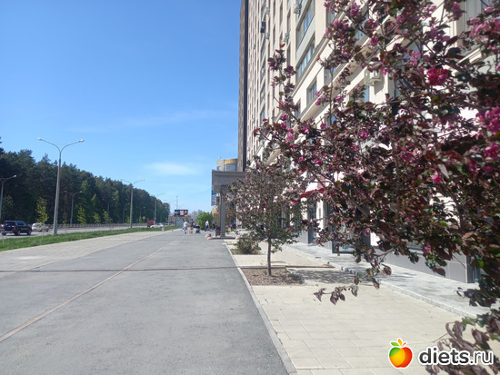 1 ����: ���, � ������� � ����