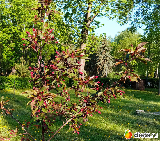 25 ����: ������� ���