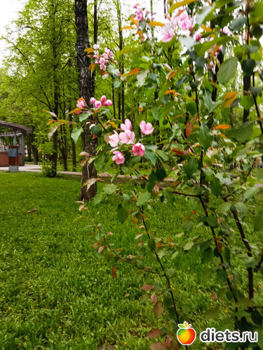29 ����: ������� ���