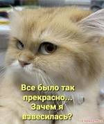 ��� 2026�...���� 1, �����